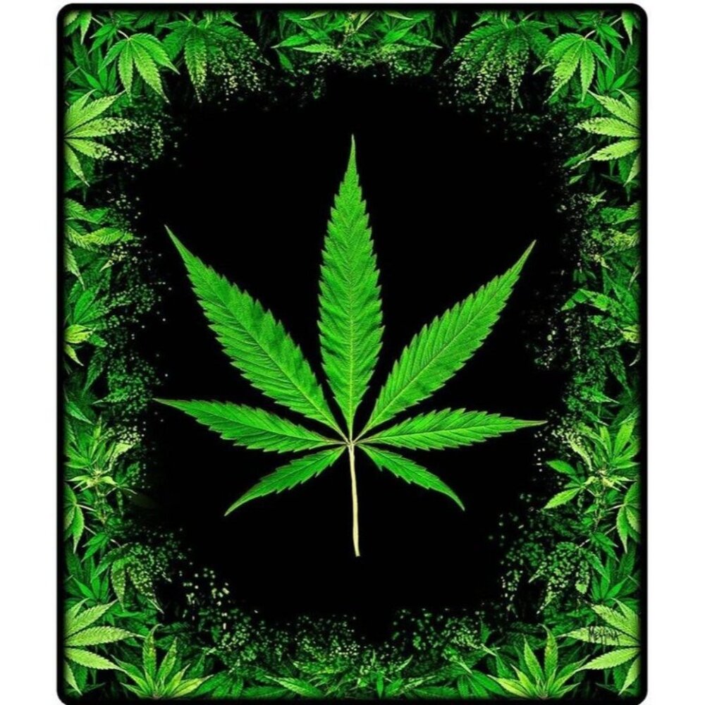 New Large Pot Leaf Plush Fleece Throw Gift Blanket Weed 420 Marijuana Green SOFT